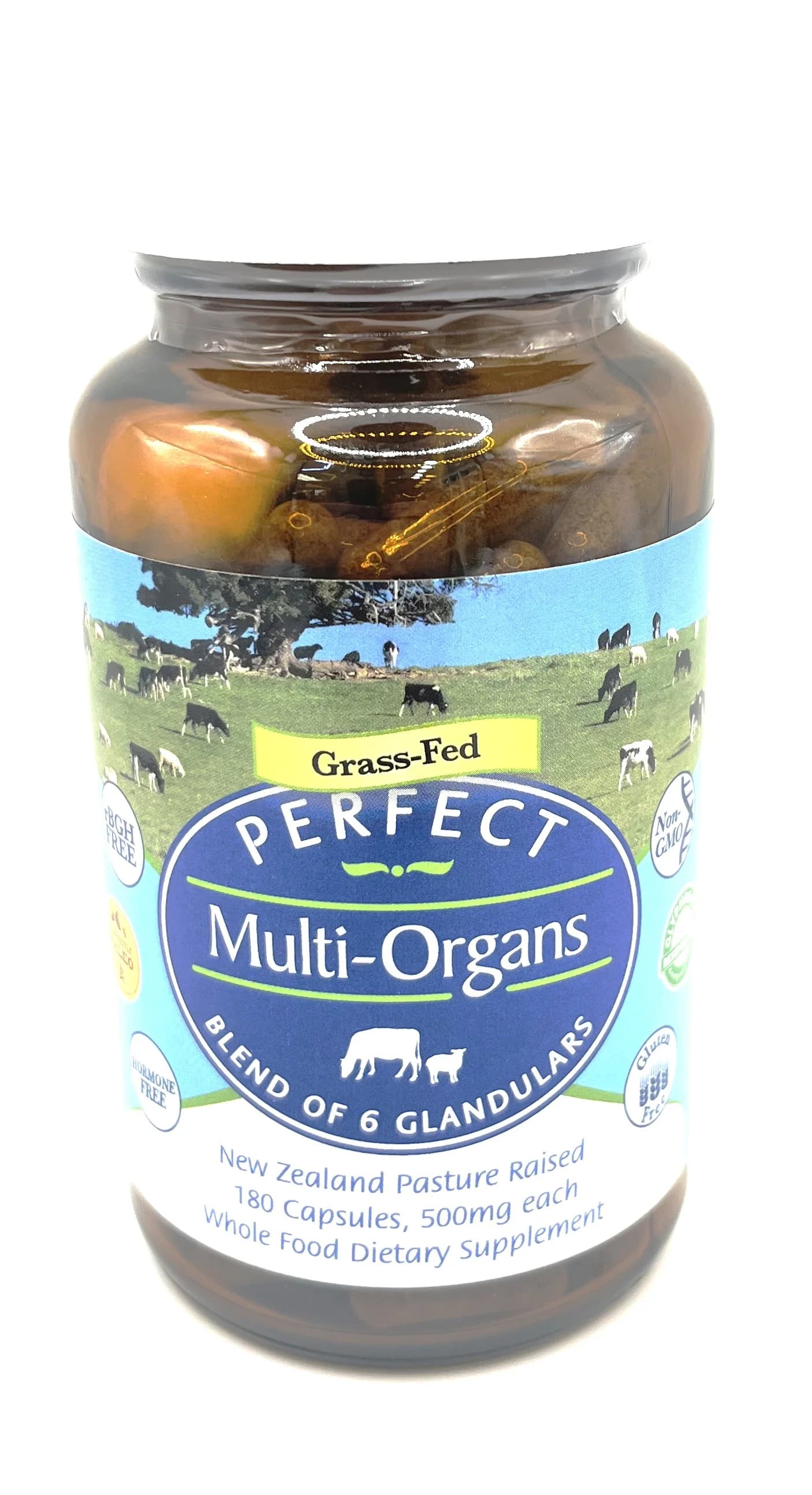 PS Multi-Organs