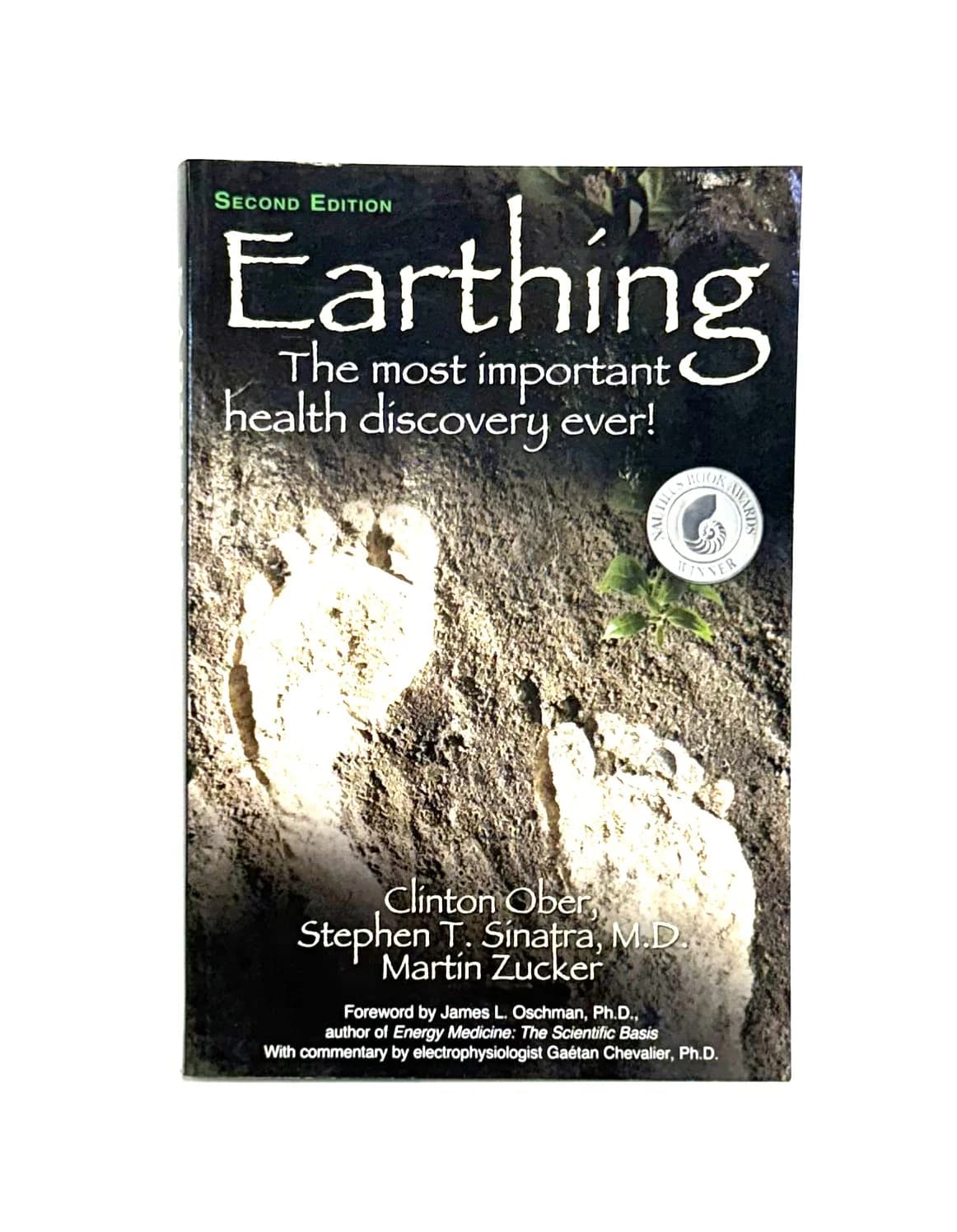 Earthing Book