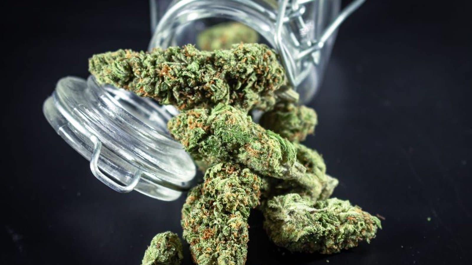 Minnesota Dispensary Hours: What State Law Sets and What Cities Can Change