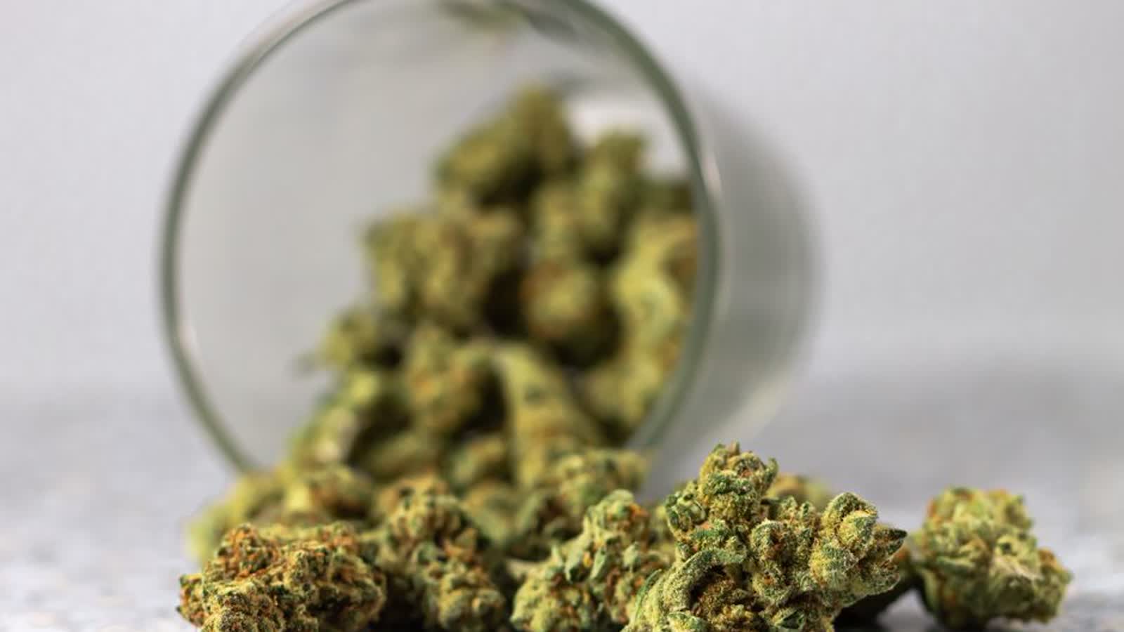 Cannabis Rules in Ramsey, Minnesota: Hours, Fees, and Where Adults Can Buy