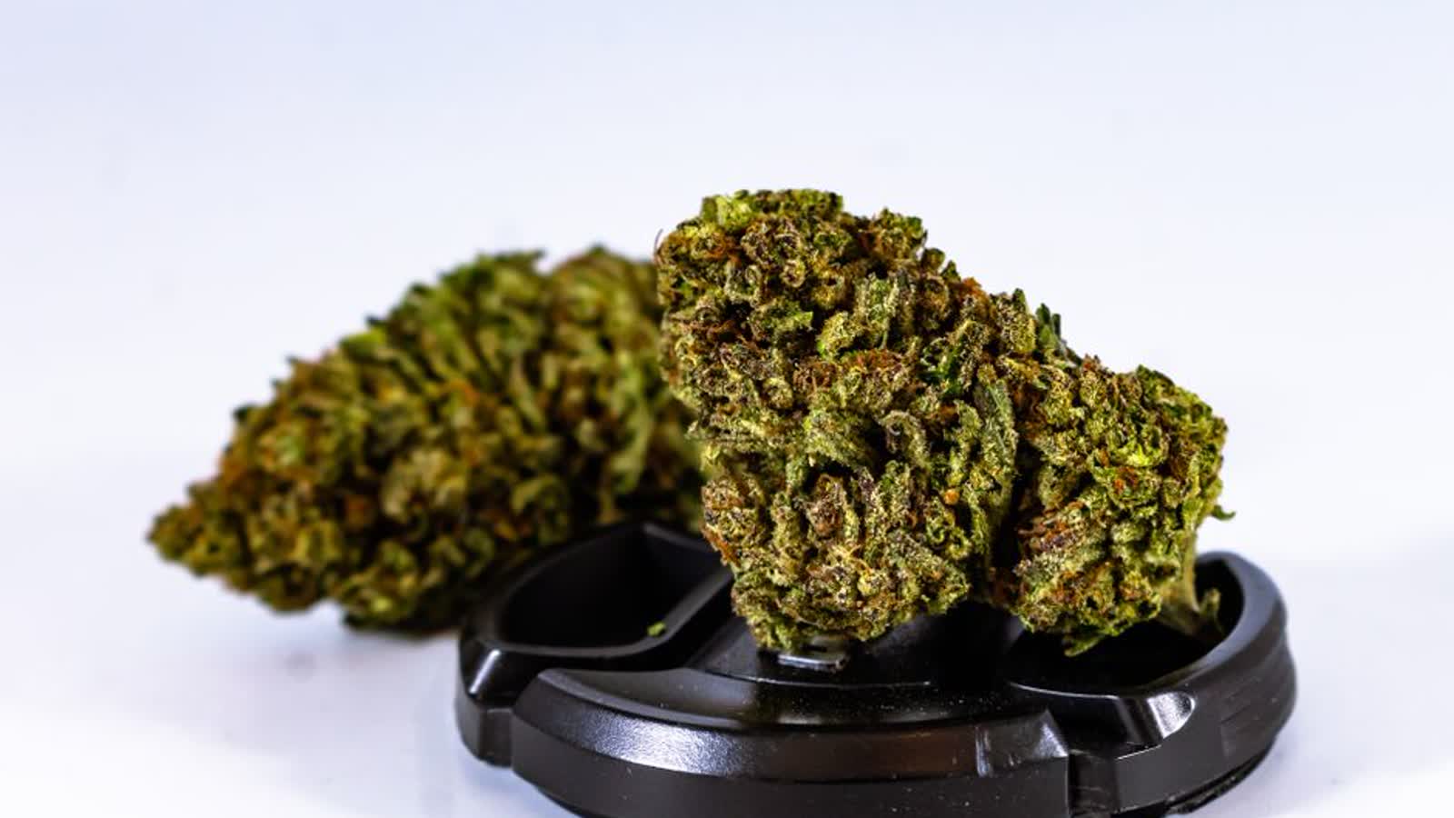 Lower-Potency Hemp Edibles vs. Adult-Use Cannabis Products in Minnesota