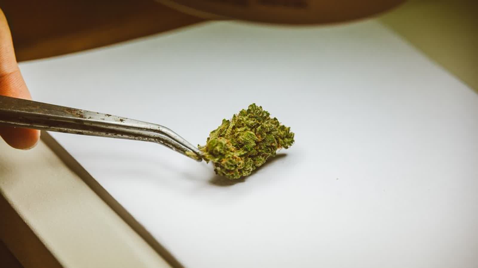 What a Licensed Minnesota Cannabis Retailer Is Required to Do