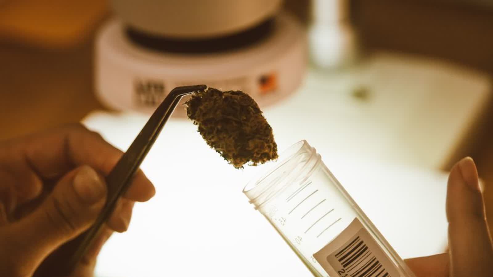Minnesota's THC Potency Caps for Edibles and Beverages, by Category