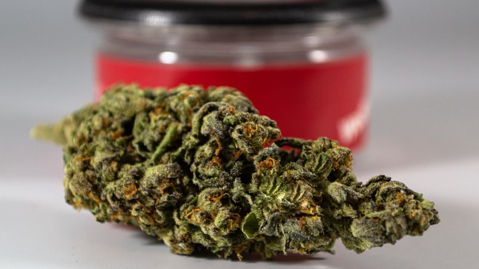 What Are Terpenes in Cannabis? The Chemistry Behind a Terpene Panel