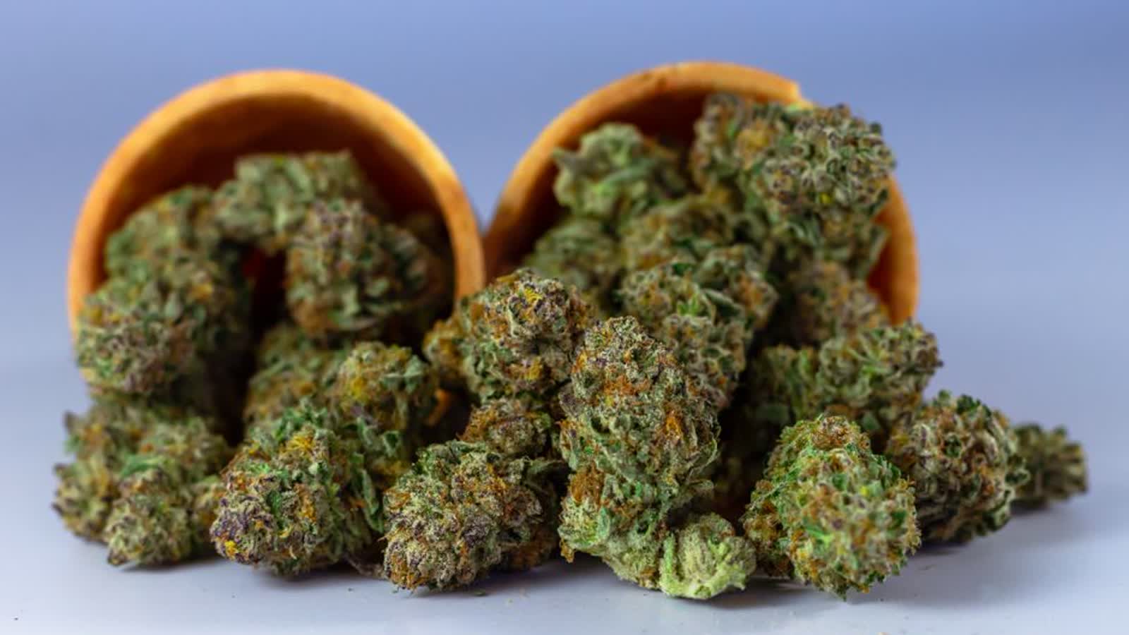 What to Ask a Budtender in Minnesota (and What They Can't Answer)